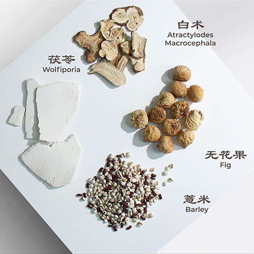 Sai Hing Barley Cleansing Soup