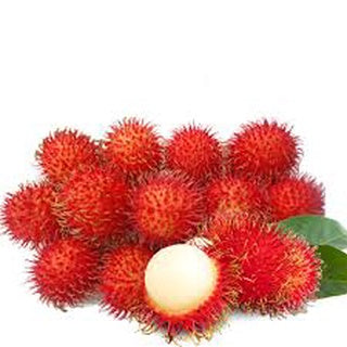 Freeze Dried Rambutan