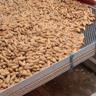 Fisherman Brand Groundnut (Ipoh Menglembu Groundnut)