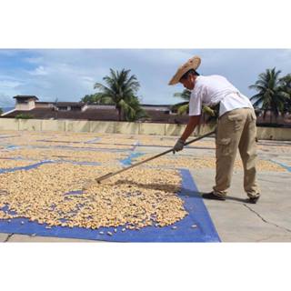 Fisherman Brand Groundnut (Ipoh Menglembu Groundnut)