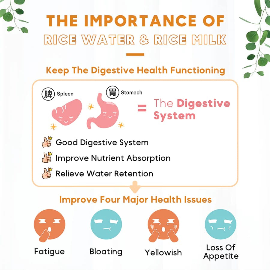 Ricemedy Barley Rice Water (Sachet)