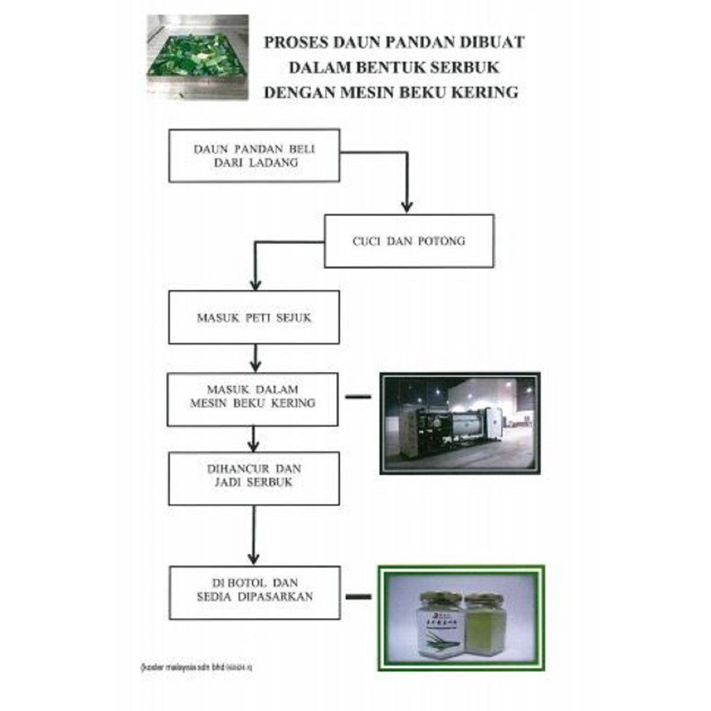 Freeze Dried Pandan Powder