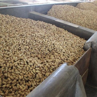 Fisherman Brand Groundnut (Ipoh Menglembu Groundnut)