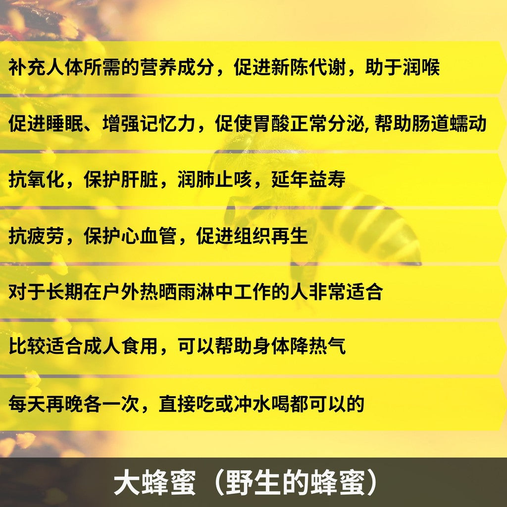 Forest Bee Honey (Honey B Brand)