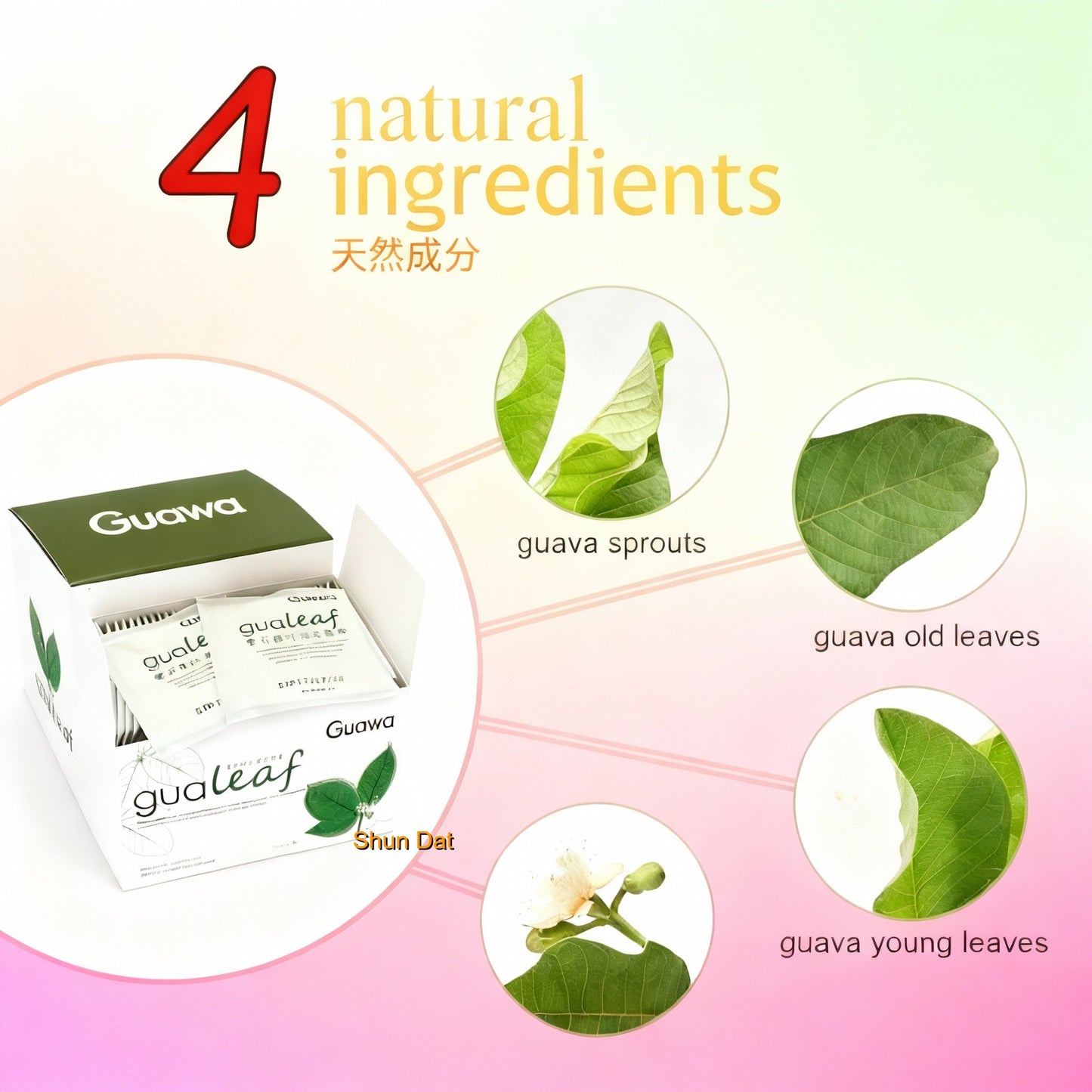 TEATICS Guava Leaf Tea
