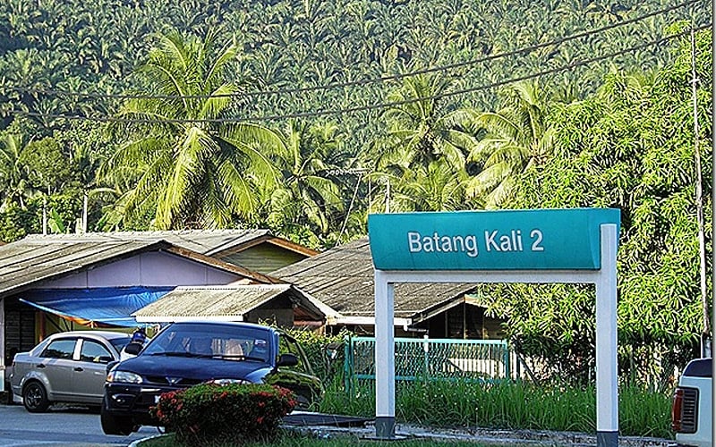 Batang Kali Man Chen Xiang Heong Piah