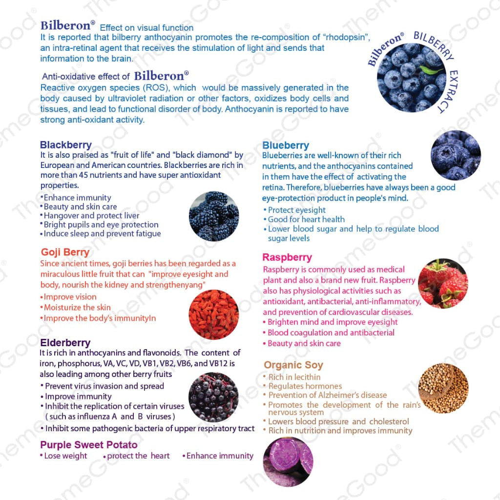 Themegood Bilberry Fruit Multigrain with Mixed Berries & Organic Soy (Sachets)