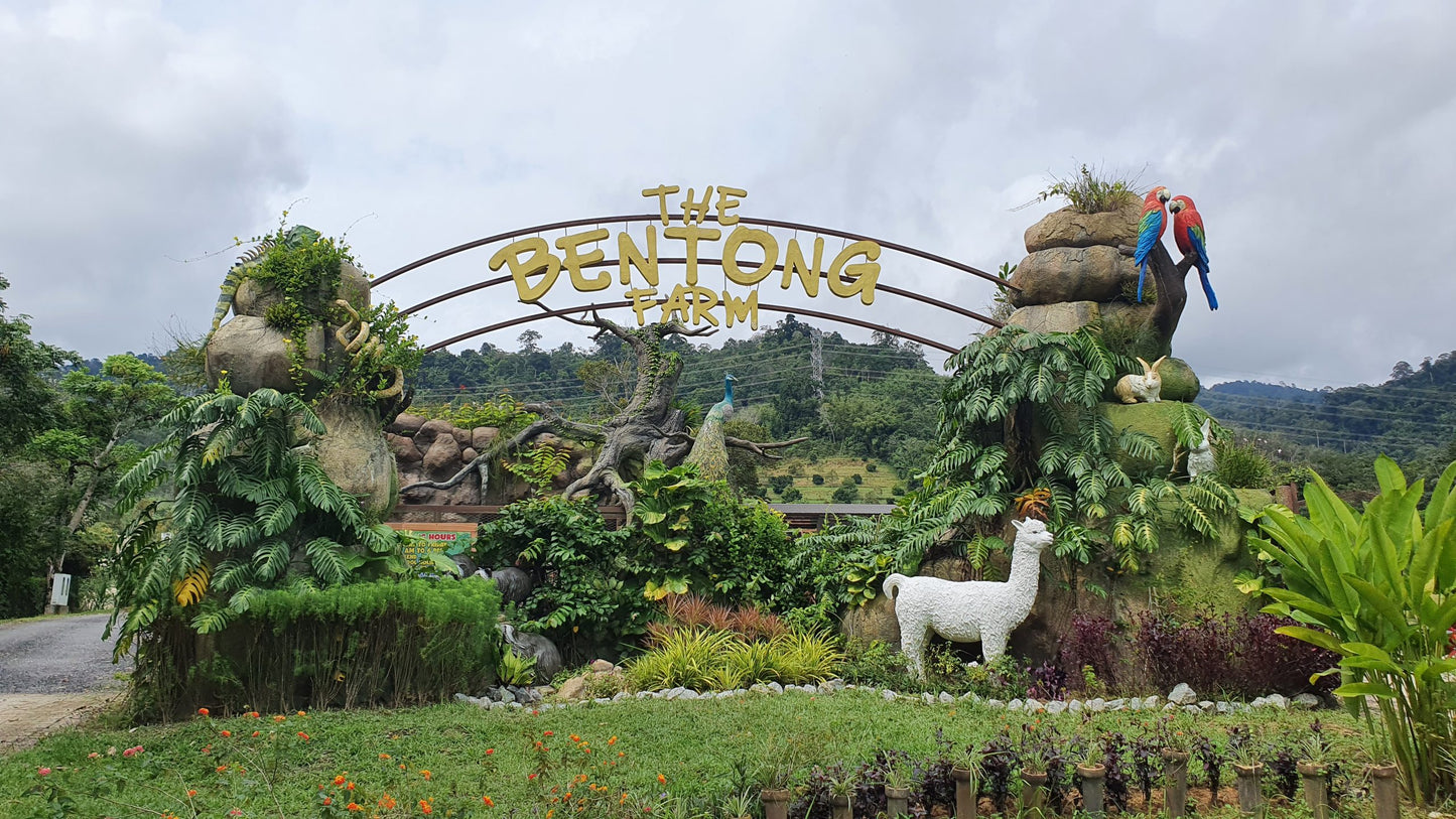 Bentong Ginger Cooking Paste and Products