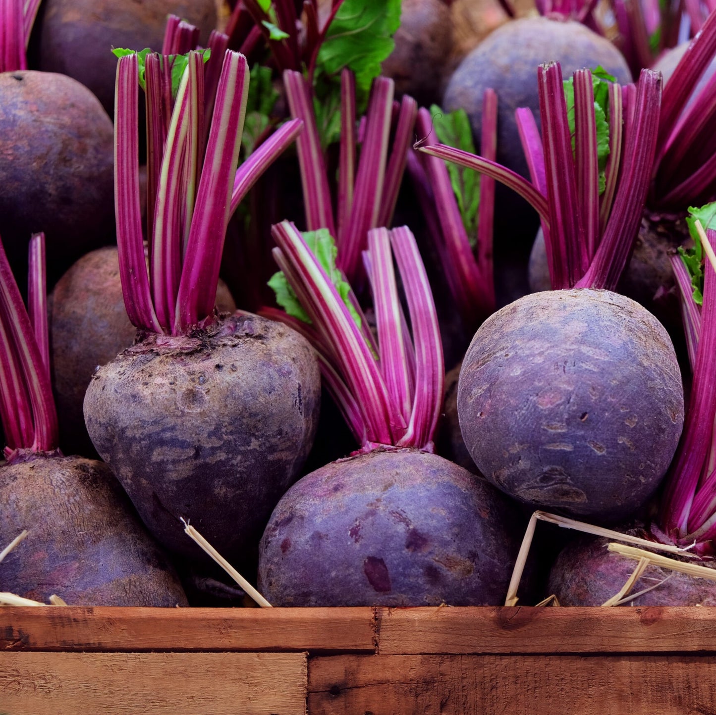 Organic Beetroot Powder (Organic Fields Brand)