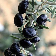 Black goji Berry 100g