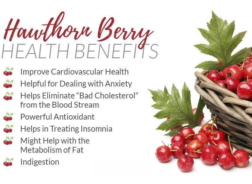 GBT Hawthorn Enzyme Vinegar