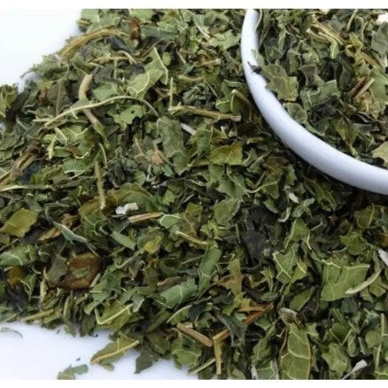 Papaya Leaf Tea