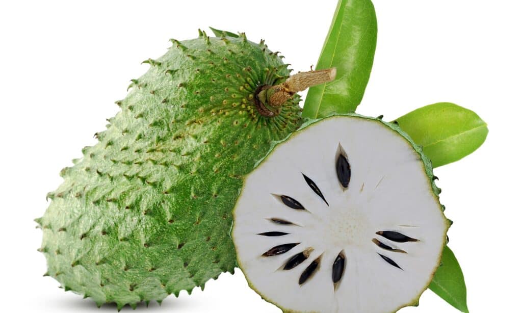 Concentrated Soursop Fruit Juice