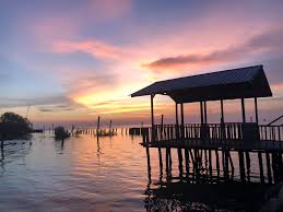 Pantai Remis Chilli Padi Sauce