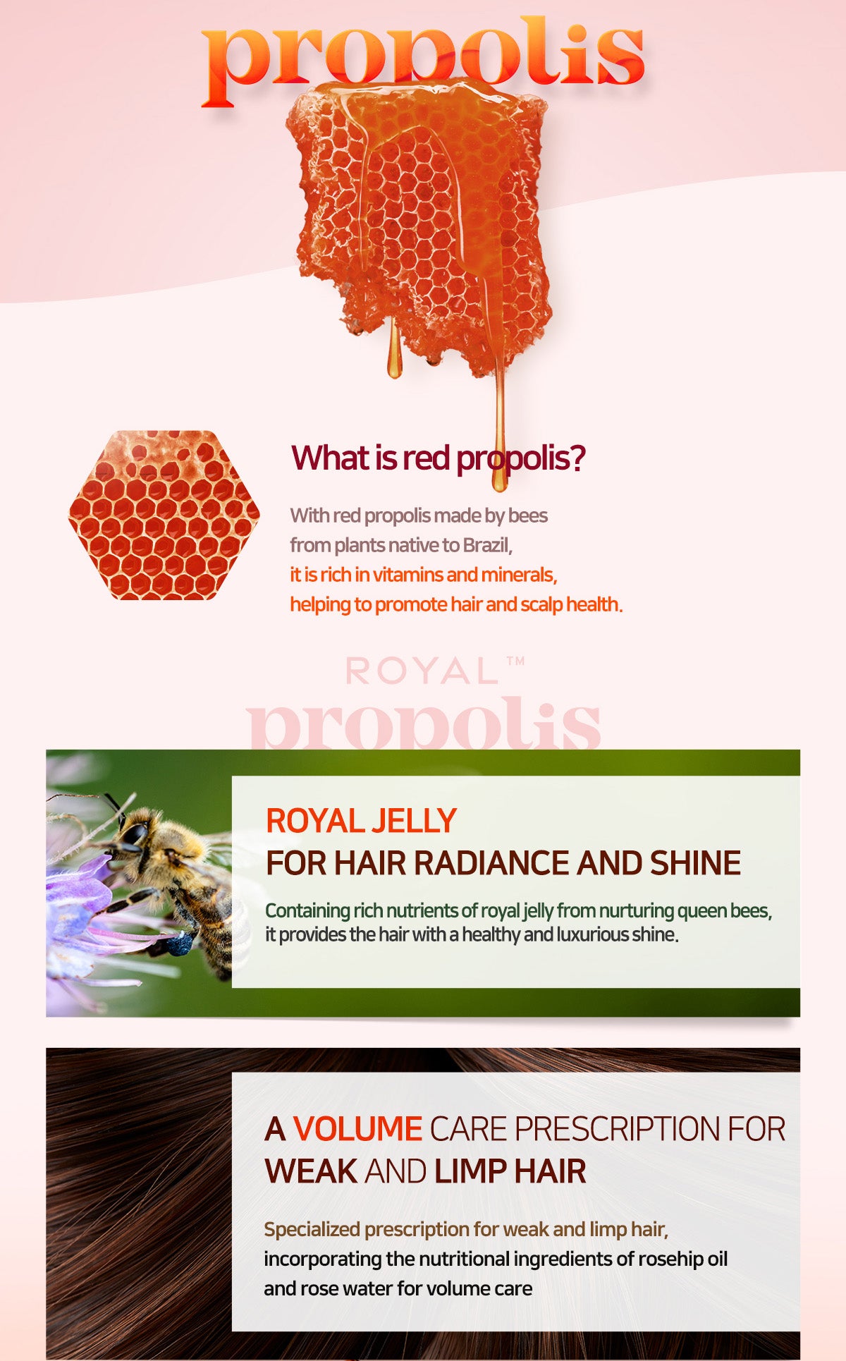 KERASYS Royal Propolis Shampoo 1000ml / Propolis Treatment