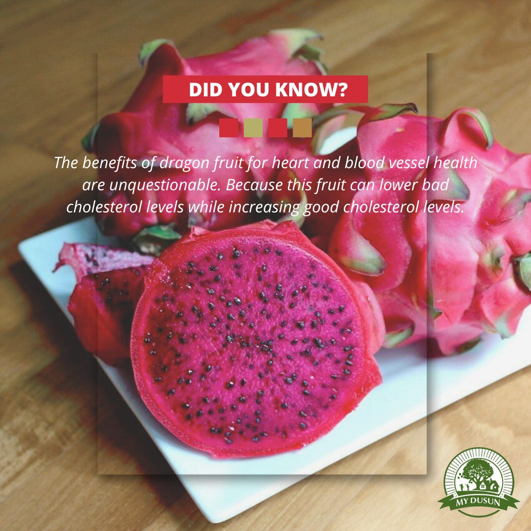 Vacuum Dried Dragon Fruit