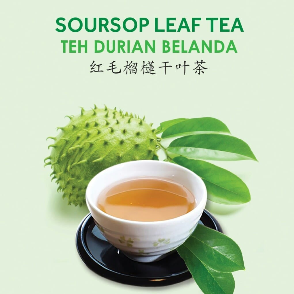 Natural Soursop Leave Tea (GBT) and Products