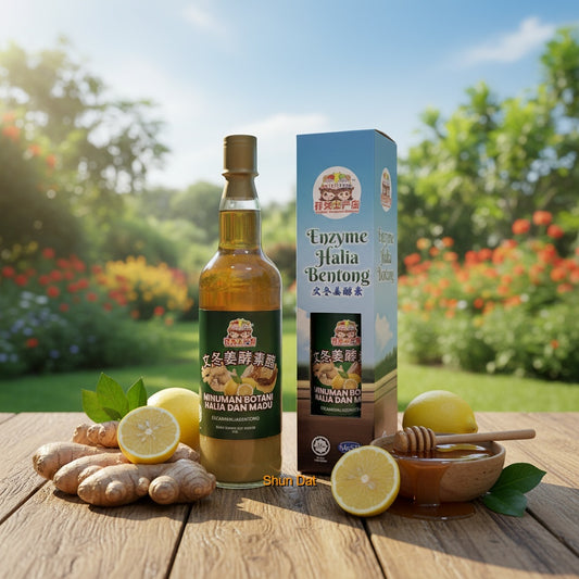 Bentong Ginger Apple Vinegar Lemon and Honey Enzyme