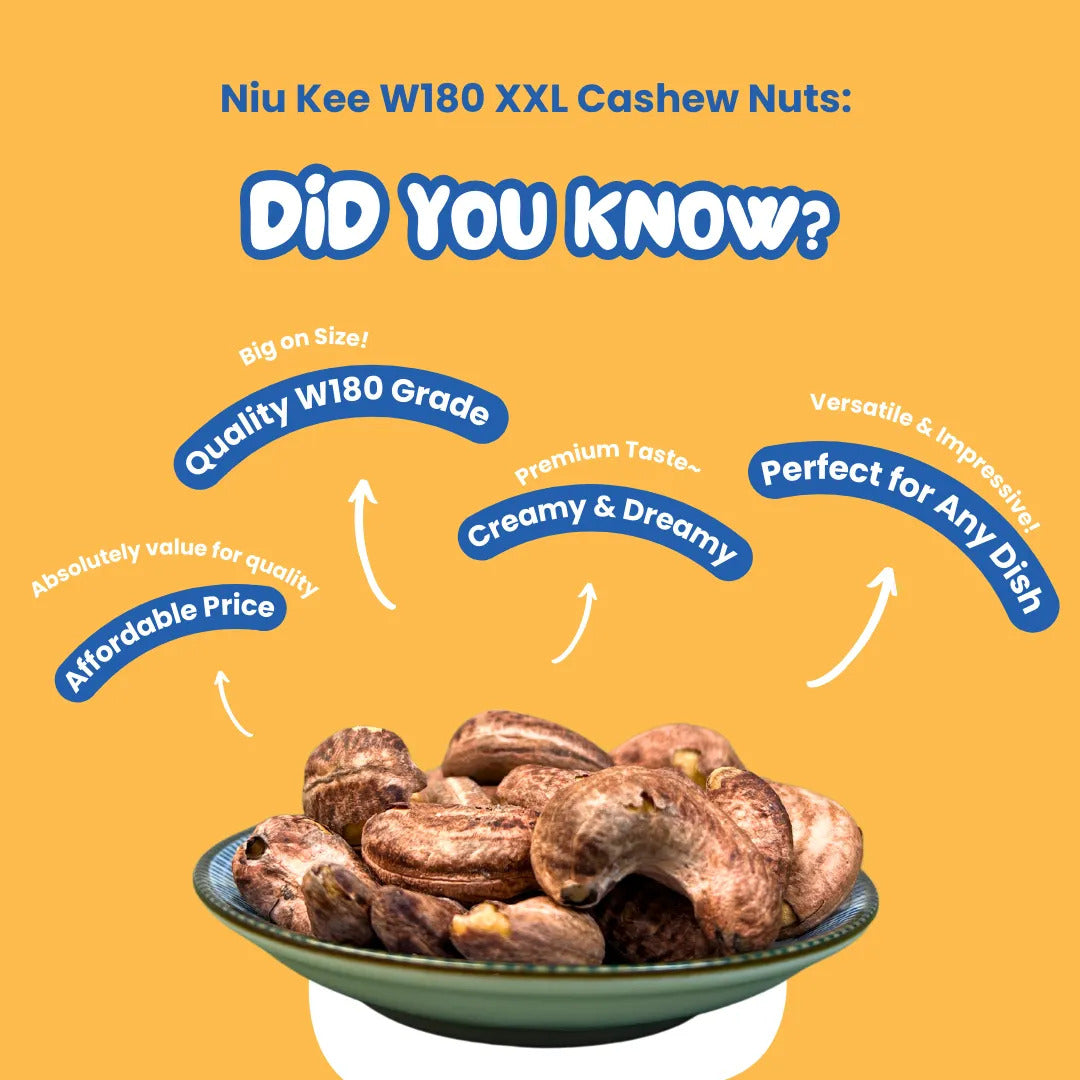 XXL Vietnam Cashew Nut - Niukee and Products
