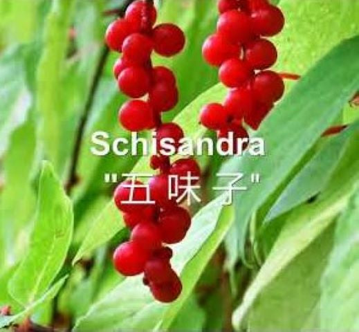 Schisandra Berries Enzymes (Wu Wei Zi)
