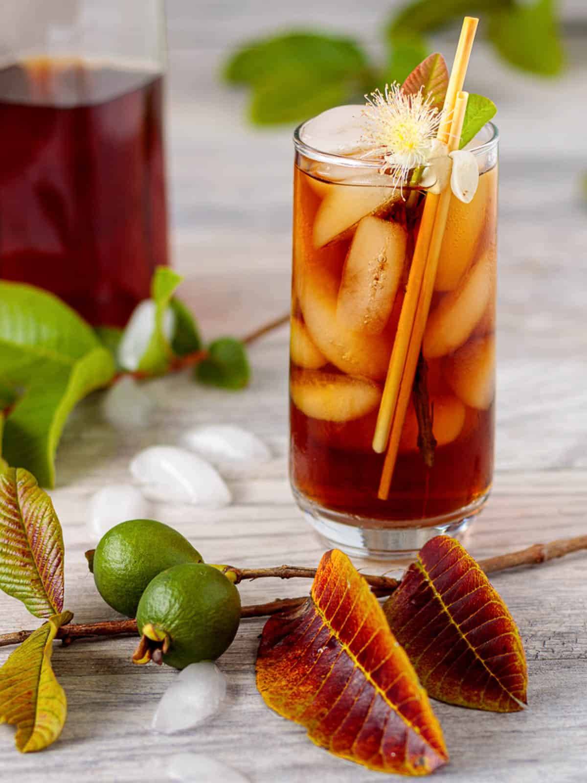 GBT Guava Leaf Tea