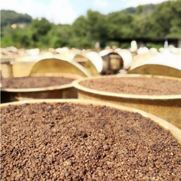 Cap Tangan Kicap Bentong Light Soy Sauce and Products