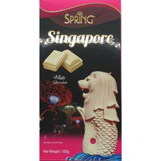 Singapore Souvenir Chocolate