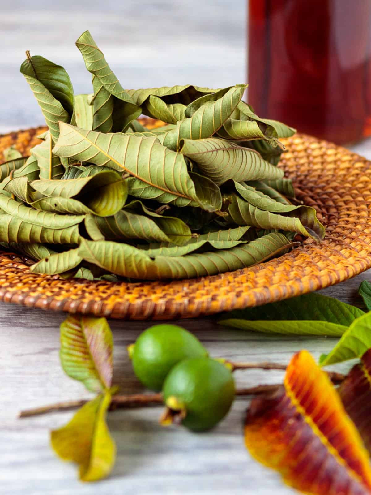 GBT Guava Leaf Tea