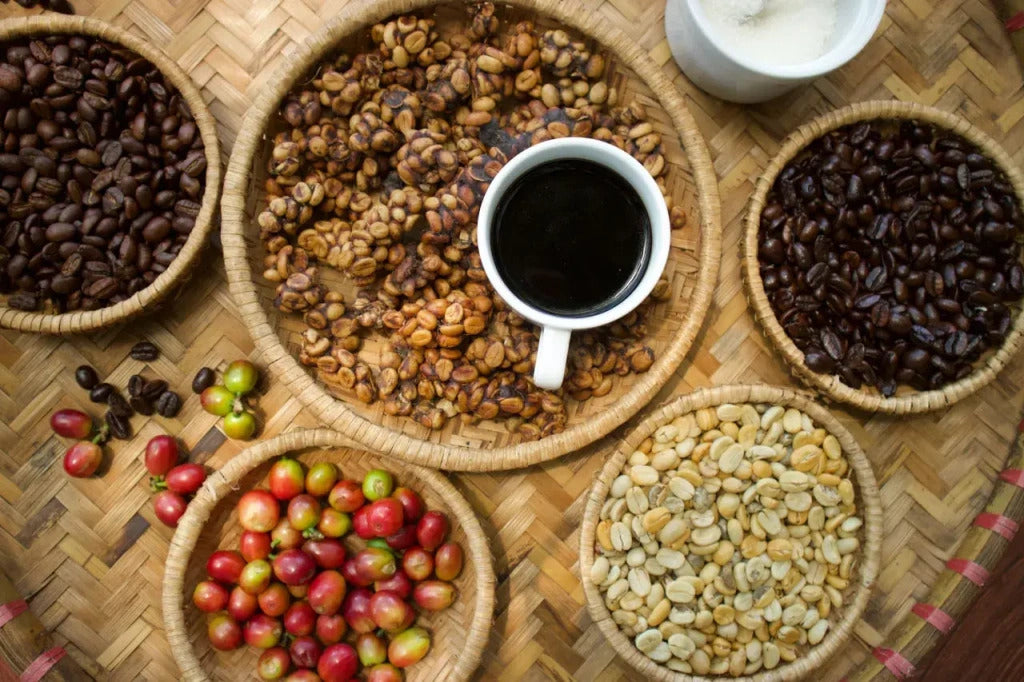 Black Coffee / White Coffee ( Ajelu Luwak Legend Coffee ) and Products