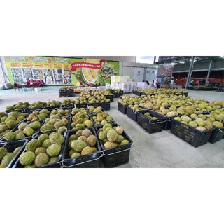 Freeze Dried Musang King Durian