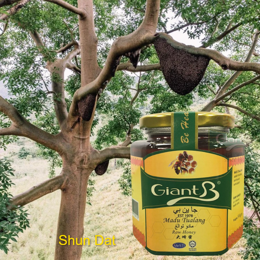 Forest Bee Honey (Honey B Brand)
