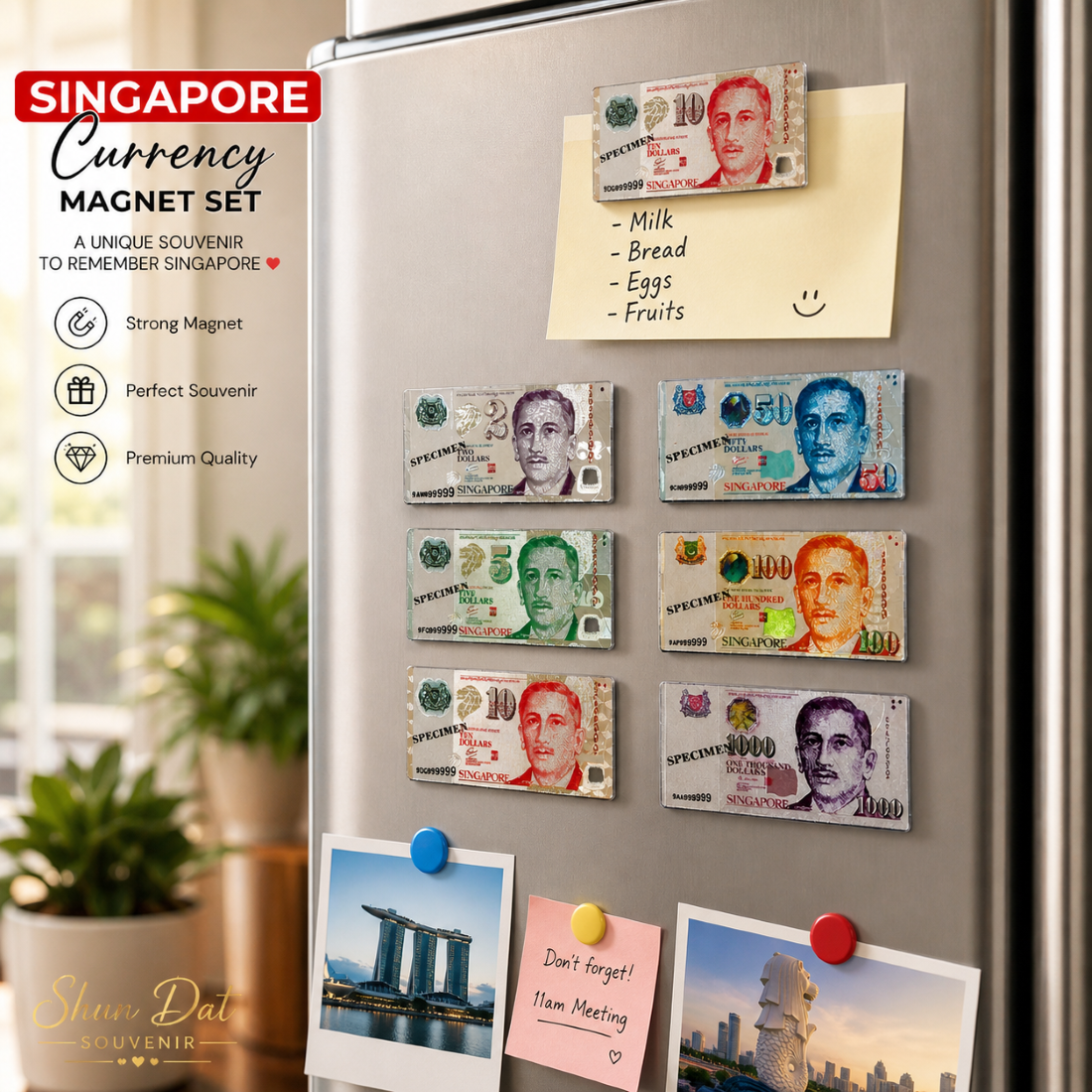 Singapore Banknote Fridge Magnet (SG Souvenir Gift /Office Notice Board Magnet)